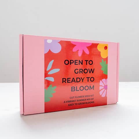 Flowers seed starter pack