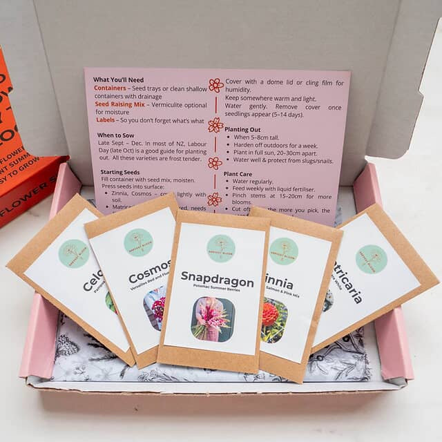 Flowers seed starter pack