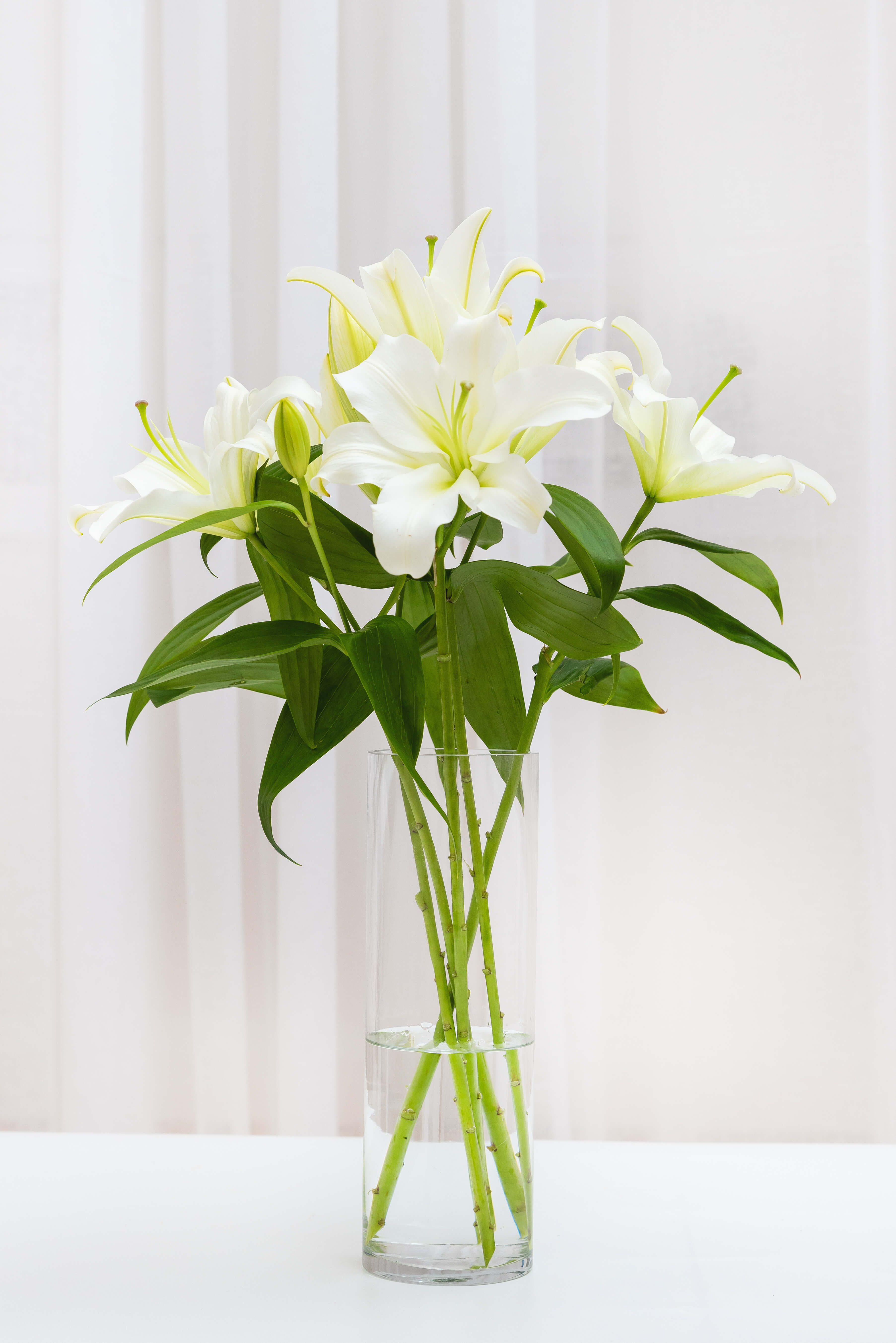 Flower subscription
