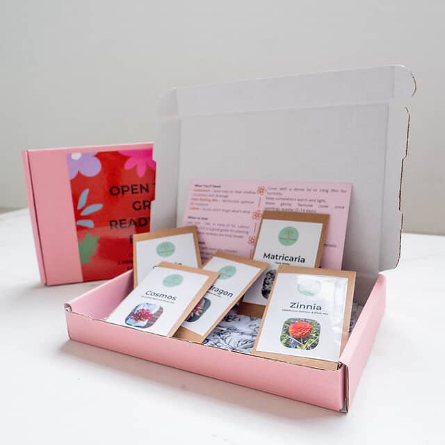 Flowers seed starter pack